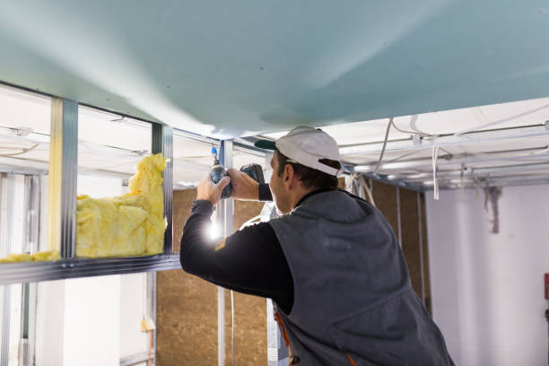 Best Eco-Friendly Insulation in Massillon, OH
